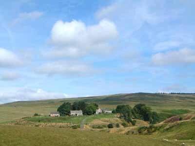 Rowan Cottage-80119 Catcleugh المظهر الخارجي الصورة